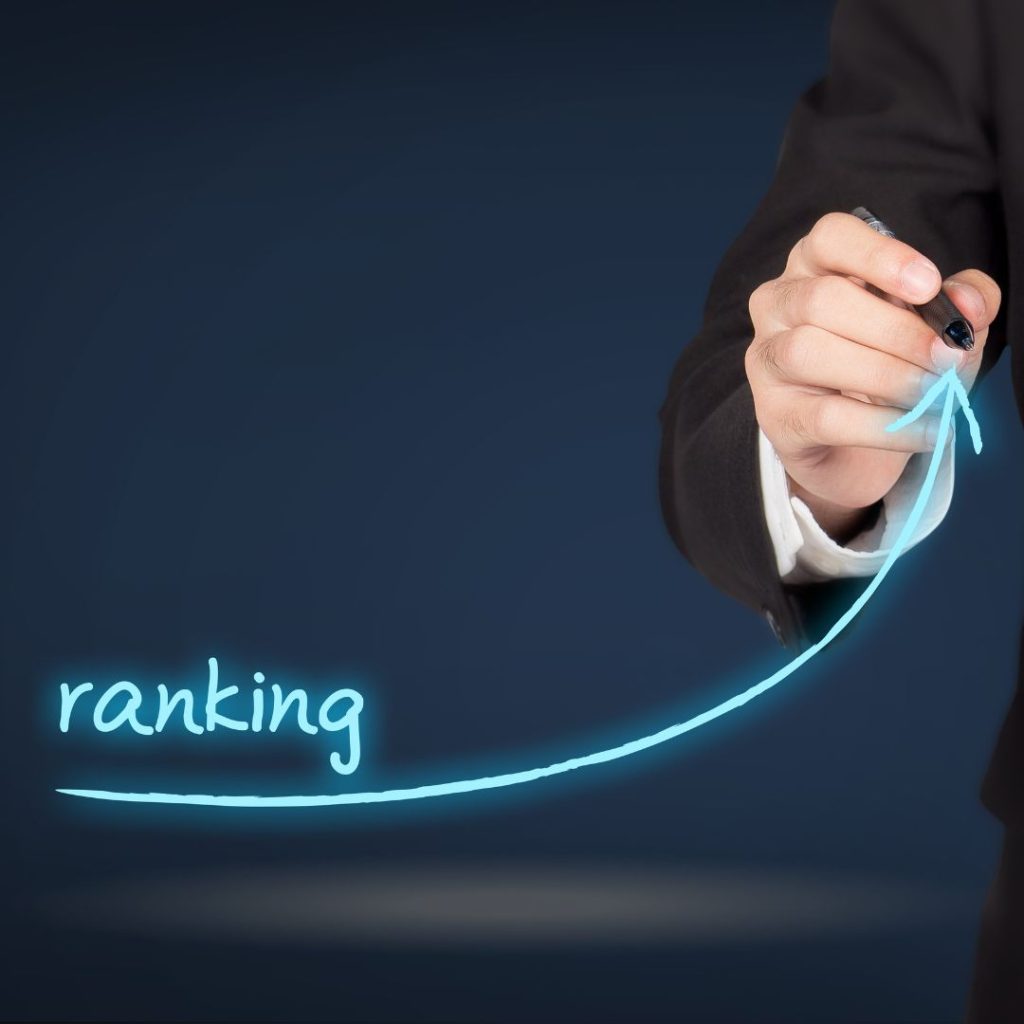 Search Engine Optimization Experts